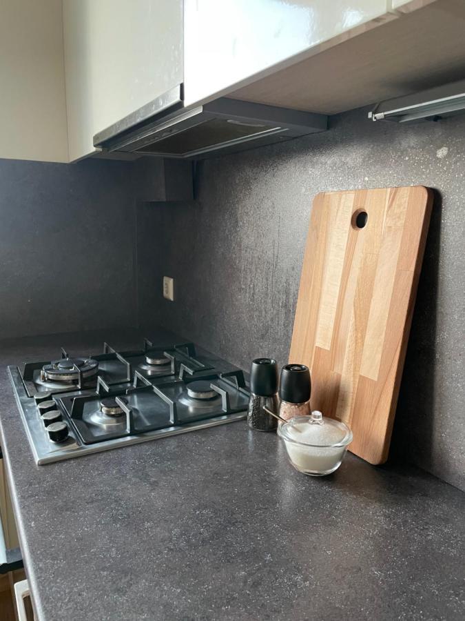 Mg Apartment Каунас Экстерьер фото